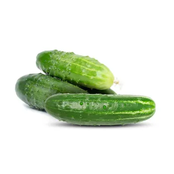 Cucumber  (28)-5186353-74944.webp